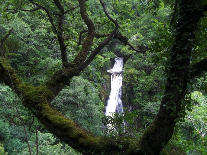 Devil's Bridge waterfall 1